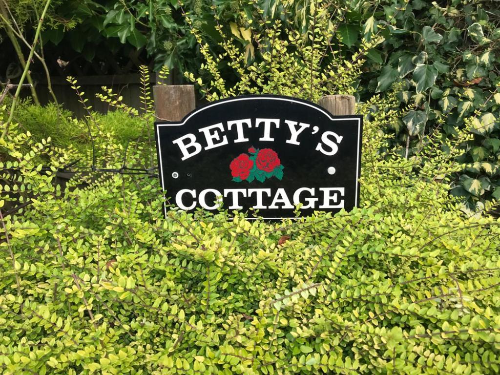 Betty'S Cottage - Traditional Norfolk Farm Cottage Swafield Exteriér fotografie